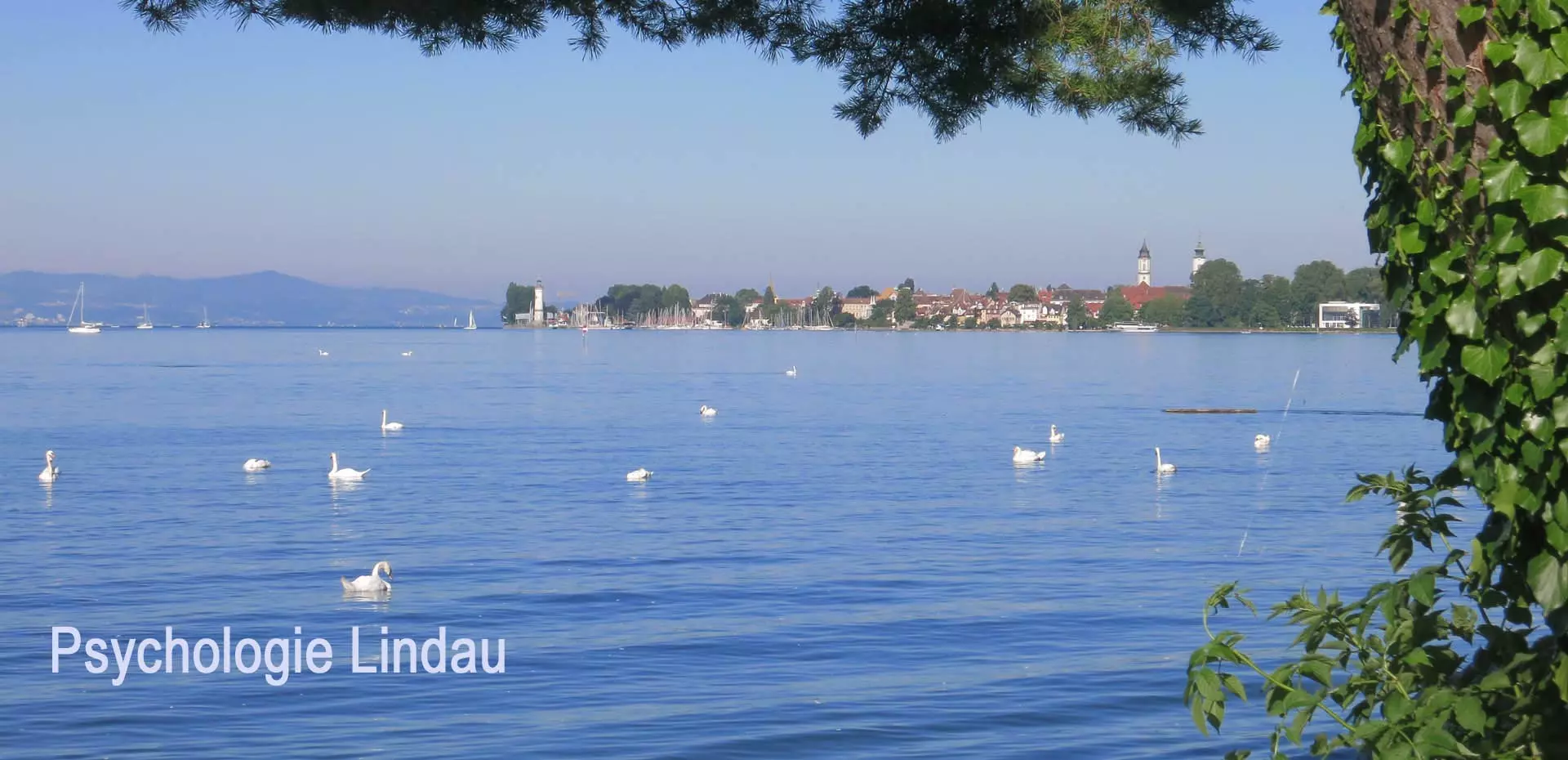 Psychologie Lindau Bodensee: Psychotherapie & Coaching - Burnout Stress Angst Depression Schlafstörungen Panikattacken Prüfungsangst Psychosomatik Psychoonkologie Krebs Schwangerschaft unerfüllter Kinderwunsch IVF Fehlgeburt Wochenbettdepression Schmerzen Allgäu Wangen Tettnang Kressbronn Langenargen Friedrichshafen Ravensburg Bregenz Dornbirn Lochau Hörbranz Vorarlberg Rheintal Mag. Brigitte Euscher